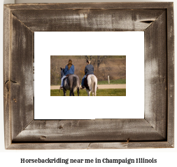 horseback riding near me in Champaign, Illinois